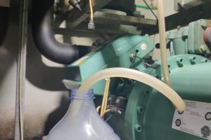 Photo over houl compressor bitzer (14) Photo over houl compressor bitzer (14)